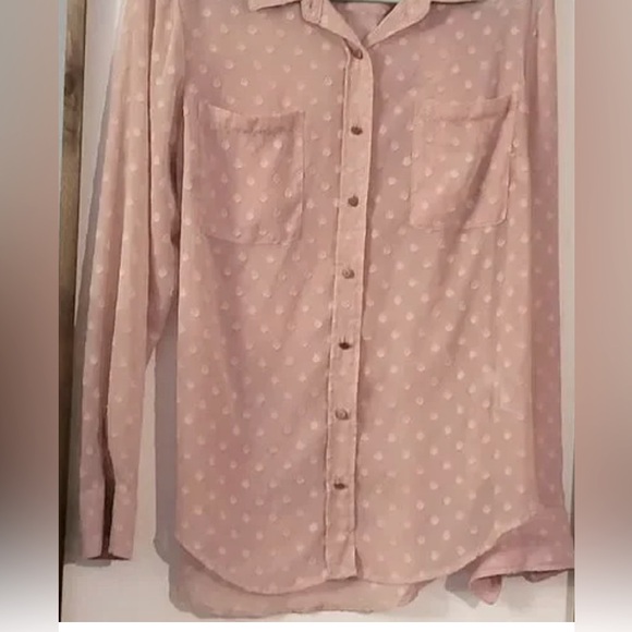 A New Day Sheer Blush Polka Dot Button Up Blouse - Picture 3 of 6